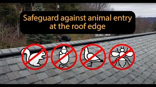 Certified RidgeGuard© Installer Varment Guard Wildlife Services  Roof Ridge Vent Protection [upl. by Gun81]