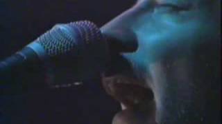 RADIOHEAD  fake plastic trees live 1997 [upl. by Nylyak]