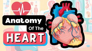 Anatomy of The Heart In JUST 4 MINUTES [upl. by Minna845]