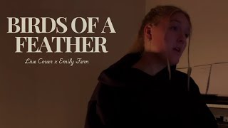 Birds of a feather  Live cover by Emily Fern [upl. by Anitselec]