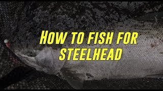 How To Locate Read Water and Catch STEELHEAD [upl. by Ahsatak194]