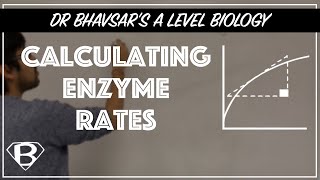 A level biology How to calculate enzyme rates [upl. by Raynah650]