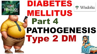 DIABETES MELLITUS  Part 4 Pathogenesis  Type 2 Diabetes Mellitus [upl. by Bobby371]