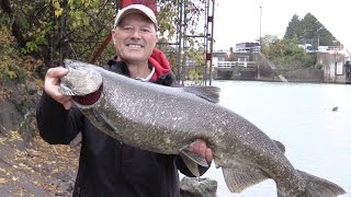 Shore Fishing in the Rain for Salmon using Roe Bags [upl. by Lennox577]