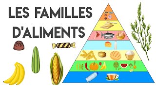 Les familles daliments  la pyramide alimentaire [upl. by Doro]