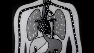 Tobacco and the Human Body Encyclopaedia Britannica Films Inc 1954 [upl. by Ailati]