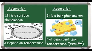 Adsorption Vs Absorption Differences [upl. by Ltsyrk]