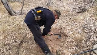 DTGT Detecting The Golden Triangle  57oz Gold Nugget [upl. by Carbone]