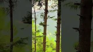 nathia gali best view like subscribe comment and share [upl. by Minor]