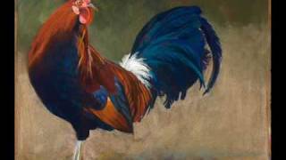 Rooster Funky song [upl. by Waldo]