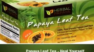 Papaya Leaf Extract amp Tea May Help cancer amp blood platelet count [upl. by Trip]