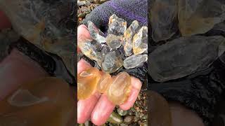 Finding Natural Smoky Quartz Quartz Crystal Gemstones By Mining Hand In River quartz crystals [upl. by Darwin]