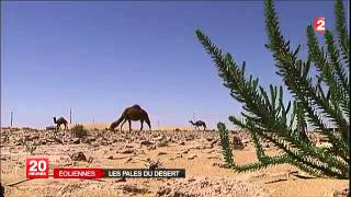 Algerie Le Maroc ne joue pas le terrorisme come LAlgerie le Maroc travaille dur [upl. by Ellenig]