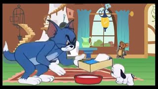 Tom and Jerry  NitWittyKitty  classic cartoons  Wbkidscartoonsbn3ix [upl. by Kieryt]