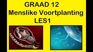 Lewenswetenskappe GR12 Menslike Voortplanting Les1 [upl. by Ttevi]