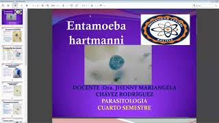 Entamoeba hartmanni [upl. by Tupler]