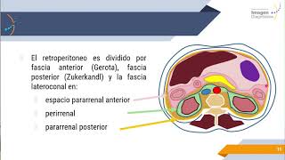 Radiología Básica de Abdomen [upl. by Ennyrb107]