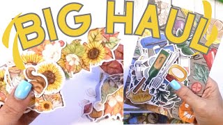 Mighty big haul 4 kits with stickers washi vellum paper ☆ plus taperlogy [upl. by Anu]