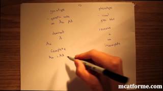 MCAT Biology Lecture Introduction to Genetics [upl. by Shoifet]