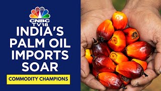 India Palm Oil Imports from Indonesia Trade Insights with Ambassador Ina Hagniningtyas Krisnamurth [upl. by Okorih766]