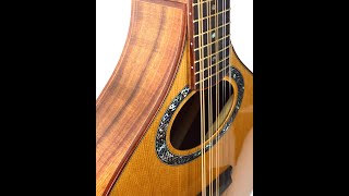 The Awen Cittern by Tim Reede Guitars [upl. by Fennie]