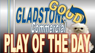 Gladstone Commercial  Monthly Dividend Stock  Passive Income [upl. by Adrianne]