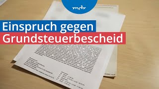 Chaos bei Grundsteuer 800 000 Einsprüche in Mitteldeutschland  Umschau  MDR [upl. by Hafeenah913]