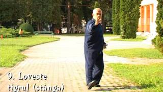 Yang Family Tai Chi Chuan 16 movements form [upl. by Ydarg]