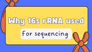 why 16s r RNA might be used in sequencing as a molecular marker [upl. by Sotnas]