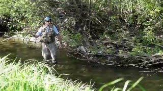 Small Stream Dryfly Action [upl. by Berry]