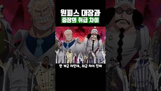 원피스 대장과 중장의 취급 차이 [upl. by Enale7]