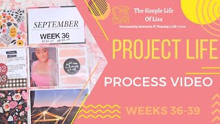 Project Life  Week 3639 Studio Calico  Ali Edwards  Elles studio [upl. by Budworth808]