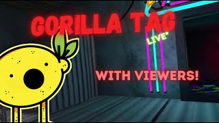 Gorilla Tag LIVE With Viewers JOIN NOW [upl. by Enilehcim]