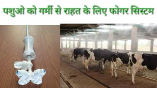 fogger system for dairy farms गर्मी मे पशुओ को कैसे बचाए गर्मी मे पशुओ को राहत [upl. by Flodnar]