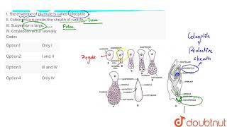 Read the following statements Choose the correct statements regarding monocot embryo [upl. by Fabrianne560]