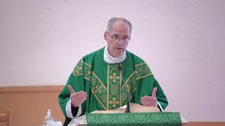 quotNeed for detachmentquot  Homily  Wednesday November 6 2024  by Fr Steven [upl. by Ratcliffe]