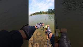 Fishing By The River  By Rod amp Reel fishing [upl. by Blackman]