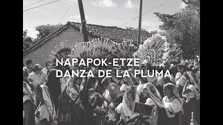 Música Tradicional De Tambor Y Carrizo Zoque NAPAPOKETZEDANZA DE LA PLUMA DE GUACAMAYA [upl. by Naltiak]