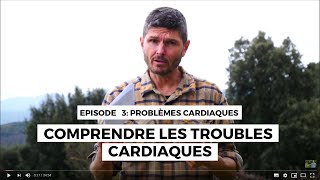 Problèmes cardiaques n°3  Comprendre les troubles cardiaques [upl. by Guzel]