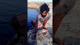 Young Man Using Big Fish to Catch Variety Fishes fishing fishingvideos thoondilulagam seafishing [upl. by Sucramed]