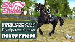 Star Stable SSO PFERDEKAUF ROYALPOTENTIAL 👑 EIN FRIESE ZIEHT EIN  DEUTSCH [upl. by Netnert253]