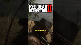 Top Incredible Details in RDR2 [upl. by Nylatsyrc]