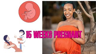 15 WEEKS PREGNANT WHAT TO EXPECT WEEK BY WEEK [upl. by Hardi981]