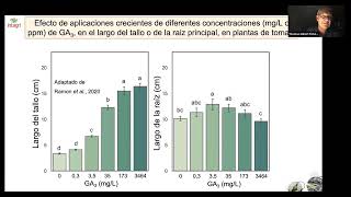 Uso de giberelinas [upl. by Ahsocin671]