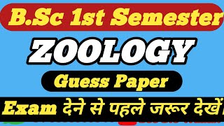 Bsc 1st Sem Zoology Guess Paper 2024  Bsc 1st Zoology Guess Paper 202425  bscbiowallah [upl. by Laurentia]