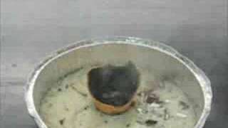 Potassium Permanganate and Glycerin Demonstration [upl. by Anayaran]