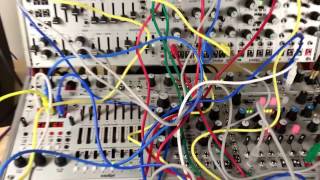 Intellijel SHIFTY [upl. by Zednanreh]