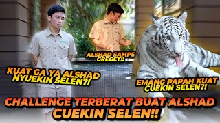 CHALLENGE ALSHAD CUEKIN SELEN  TAPI SELEN MALAH SEPERTI INI REAKSINYA  HARIMAU JAUH LEBIH CUEK [upl. by Elkcim]