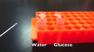 Lab Protocols  Determining the Amount of Glucose Produced via Colorimetric Strips Unit 8 Enzymes [upl. by Lewison535]