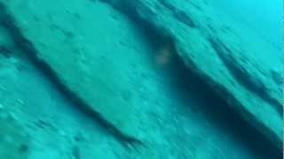 Natural Bottom Fishing in Orange Beach Alabama [upl. by Abrams]